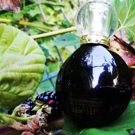 Goldea The Roman Night - Bvlgari