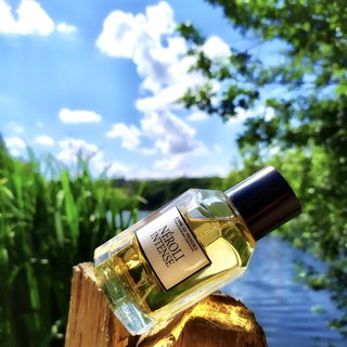 Néroli Intense - Jeanne en Provence