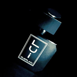 Œillet Pourpre / Lui von Guerlain