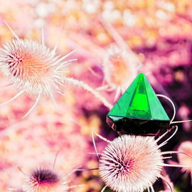 Für den Fotokunst-Blog2 von Fresh21 - das UFO ist gelandet