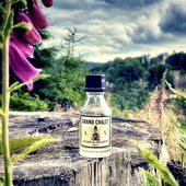 *lieben Dank für Eure netten Rückmeldungen zu meinem kleinen Naturschnappschuss aus dem Bergischen Land, das fast so schön ist wie die Schweizer Alpen, auf die sich der Duft bezieht* (von Knopfnase)