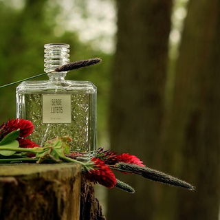 Ihr Lieben, ein großes Merci für eure so schönen Worte & Auszeichnungen - ich freu' mich :) ♥ Gris clair meets color