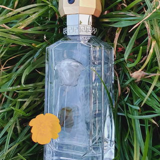 The Dreamer (Eau de Toilette) von Versace