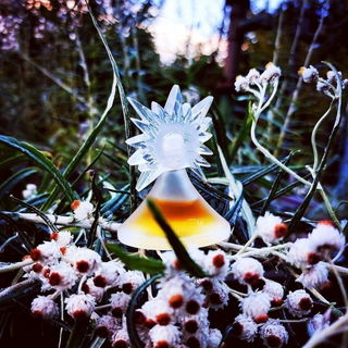 So Scandal! - Jean Paul Gaultier