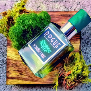 Fougère L'Aube - Rogue