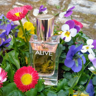 von Wildflower