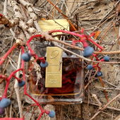 ***Winterlich-Weihnachtlicher Gewürzschmuser im Wein-Dickicht  - Gewürznelke taktet kräftig auf und wird im weiteren Verlauf warm von Zimt und Vanille umwoben. Mein Zimtschnecken-Traum 🥰😋. Lieben Dank fürs Vorbeischauen und eine wunderbare Adventszeit 😘*** (by Zimtschnecke)