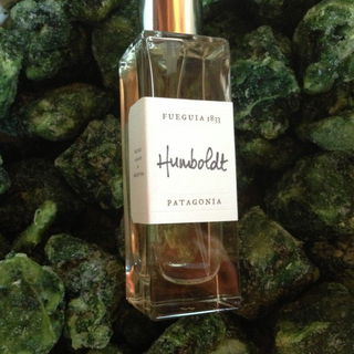 Humboldt by Fueguia 1833