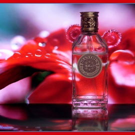 Dianthus - Etro