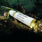 Dunkle Wiesen (Jetzt zum neu gelisteten EdC rübergemacht ;-)) (von Floyd)