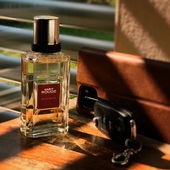 - maskulin für Fresh .... (by IrisNobile)