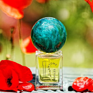 Fantôme de Maules - Stora Skuggan