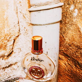 Rose Aoud - M. Micallef