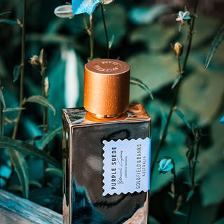 Purple Suede - Goldfield & Banks