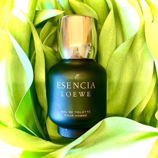 Esencia (Eau de Toilette) - Loewe