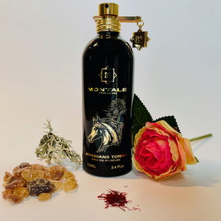 Arabians Tonka von Montale