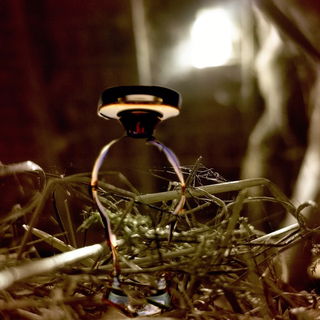 Nachts tummeln sich Gespenster im Heustadl ;)