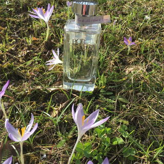 Lampone, Fior di Mielo e Semi di Cacao - Borsari 1870