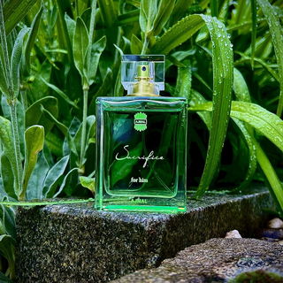 …📷🌍 Thank you. Danke schön. Merci beaucoup. Muchas gracias. Dōmo arigatō gozaimasu 💐…