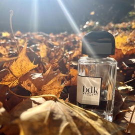 🍁 Von der Herbstsonne geküsst 🍁 Ich wünsche euch einen wunderschönen Tag und vielen Dank für euren Besuch 🫶🏼