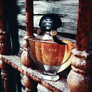 Shalimar (Eau de Parfum)
