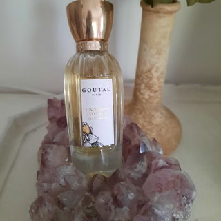 Un Matin d'Orage (Eau de Toilette) by Goutal