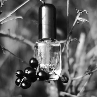 Aromatics In Black von Clinique