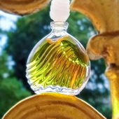 Wellen reiten - freue mich sehr über Euren Besuch bei der kleinen Duftwelle 🌊💛🧡 (by Skydiver19)