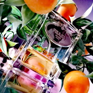 Infusion de Mandarine von Prada