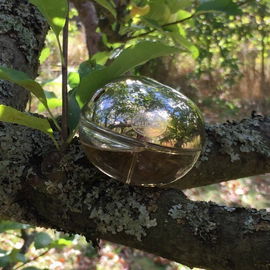 Golden Delicious (Eau de Parfum) - DKNY / Donna Karan