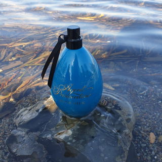 Blue Silk von Agent Provocateur