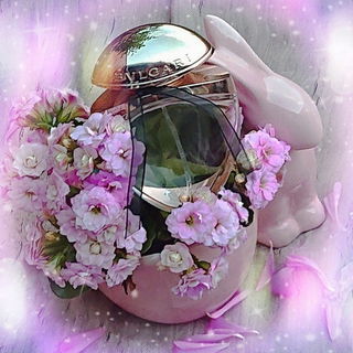Mon Jasmin Noir (Eau de Parfum) - Bvlgari
