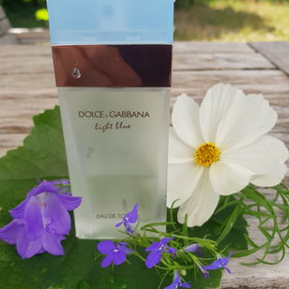 Light Blue (Eau de Toilette) by Dolce & Gabbana