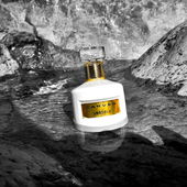 MondlandeFlakon L'Absolu 11 (by LouisBaldini)