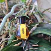 💚 ein feiner Platz für meinen Winzling 💚 (by Paloma58)