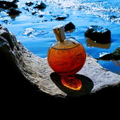 ...Erinnerungen an den Sommer... (von Timmama)