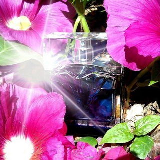 Femme de Montblanc (Eau de Parfum) - Montblanc