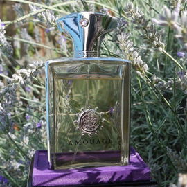 Reflections im Lavendel