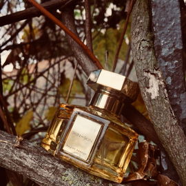 Skin on Skin - L'Artisan Parfumeur