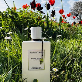 Layton - Parfums de Marly