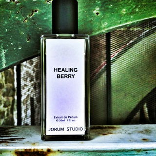 Healing Berry by Jorum Studio