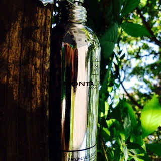 Patchouli Leaves - Montale