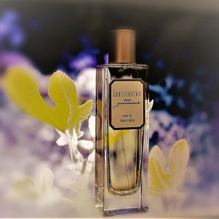 Eau Gourmande - Fresh Fig - Laura Mercier