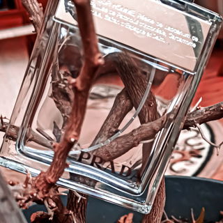 Power of Seduction - Banderas