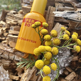 MahoganySun by Perroy