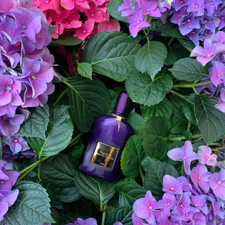 Velvet Orchid Lumière - Tom Ford