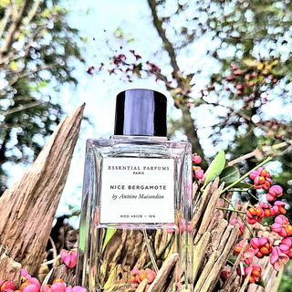 Einen herbstlichen Gruß aus dem Norden Deutschlands. 🍁Danke für euren Besuch🫶!