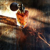 Sommerliche Abendsonne auf dem Schreibtisch... (von Centifolia)