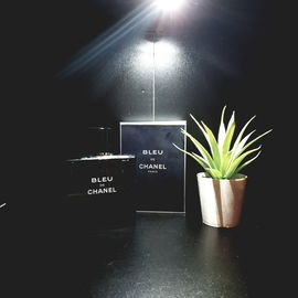 Date for Men - Fragrance One