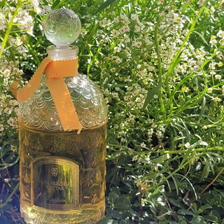 Mon Précieux Nectar by Guerlain